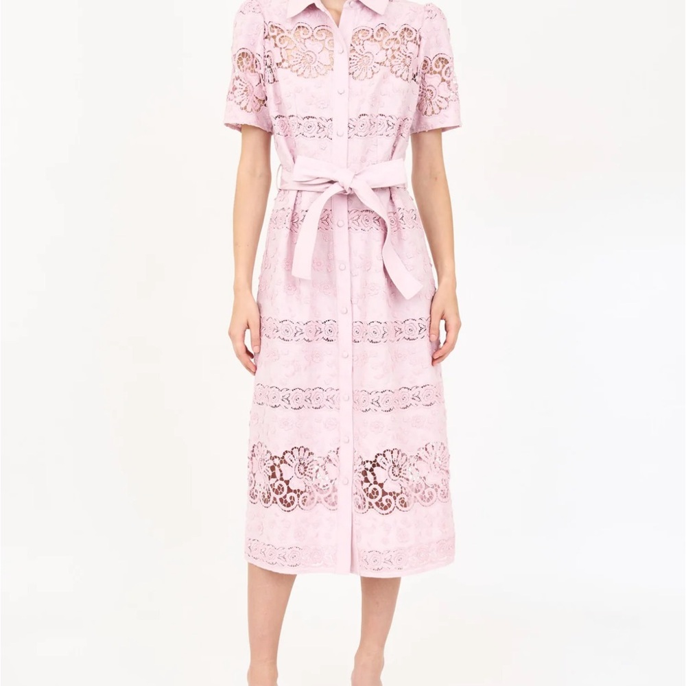 NWT Christy Lynn Penelope Dress - L